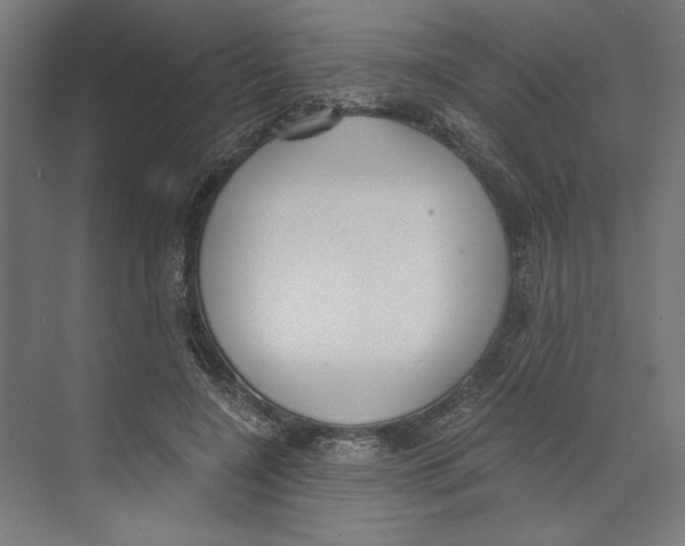 X0000073490548200608281618