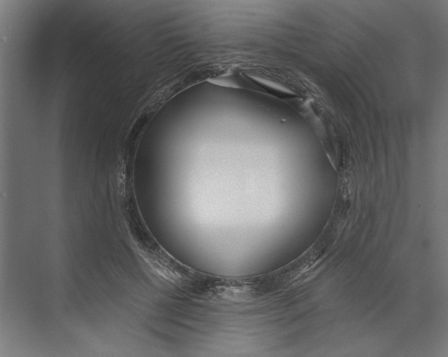 X0000073490552200608281618