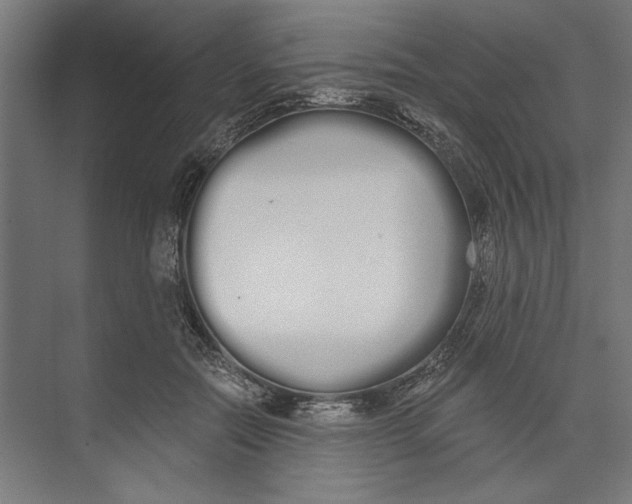 X0000073490554200608281618