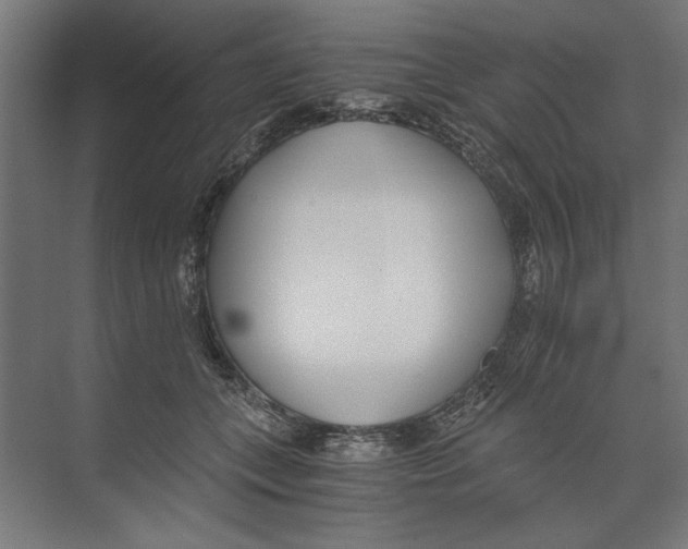 X0000073490559200608281618