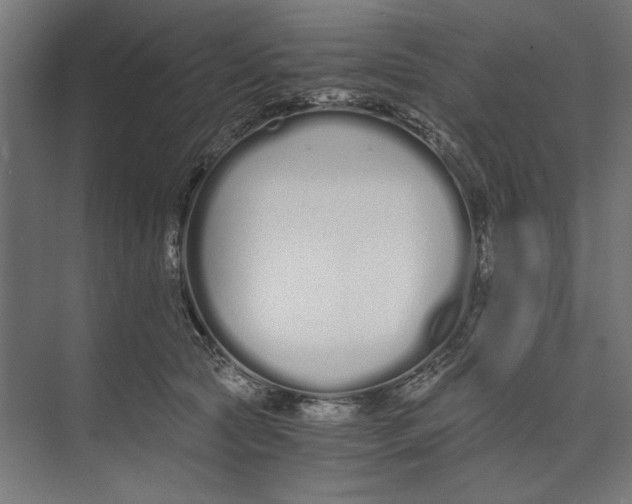 X0000073490561200608281618