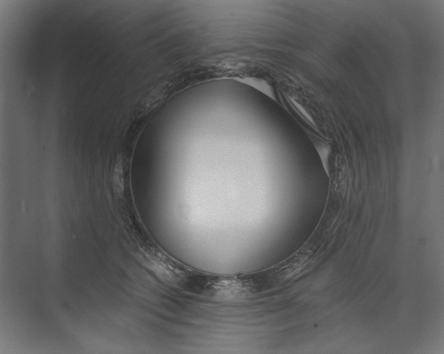 X0000073490562200608281618