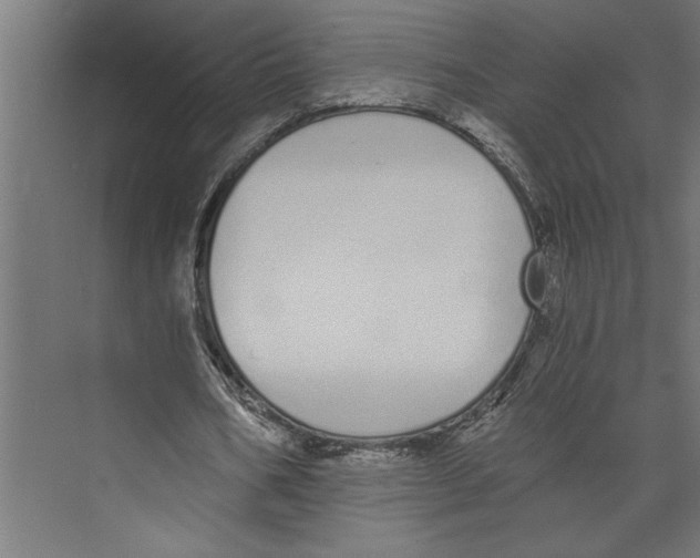 X0000073490578200608281618