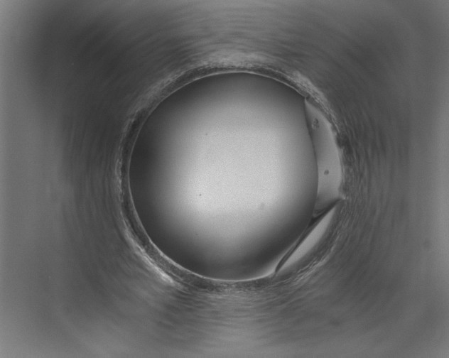 X0000073490581200608281618