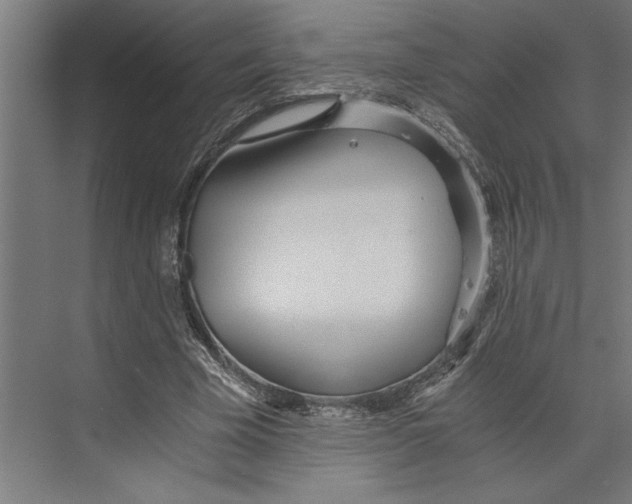 X0000073490585200608281618