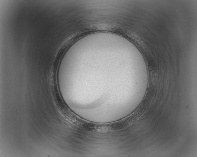 X0000073490587200608281617