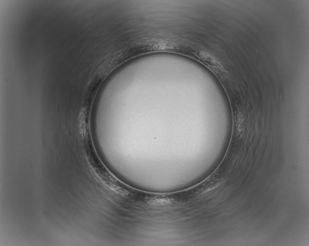 X0000073490594200608281617