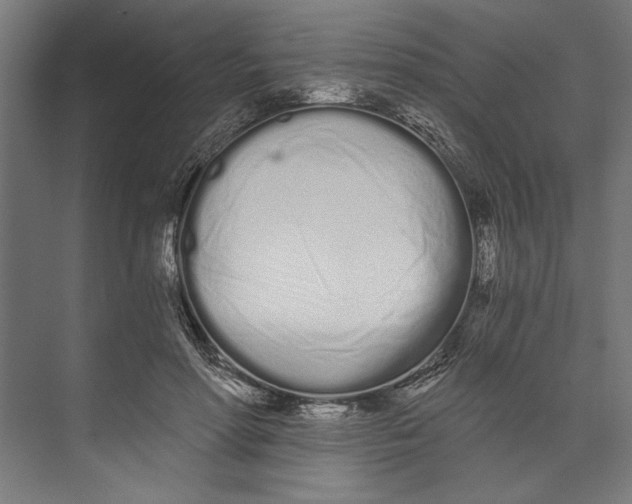 X0000073490598200608281617