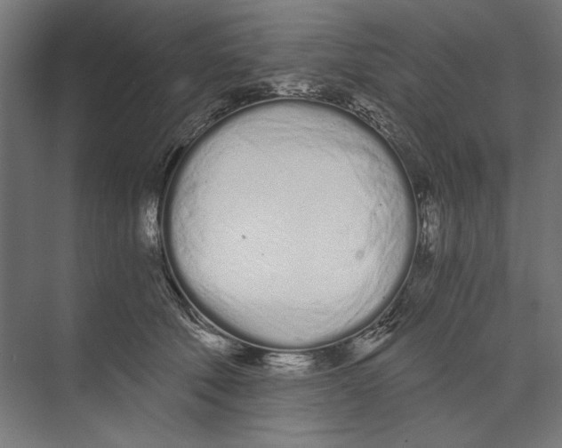 X0000073490610200608281617