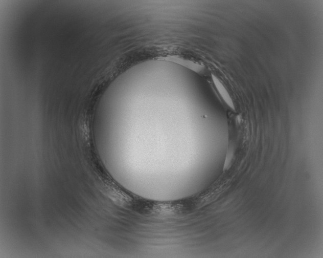 X0000073490613200608281617