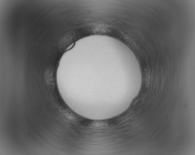 X0000073490619200608281617
