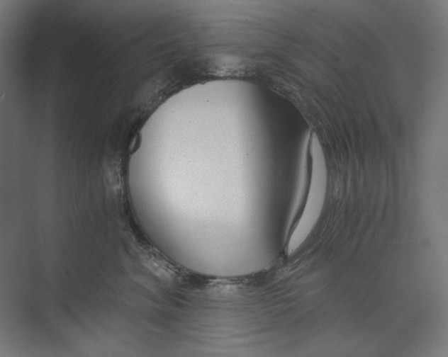 X0000073490620200608281617