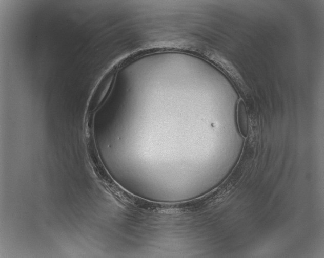 X0000073490628200608281616