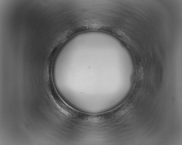 X0000073490638200608281616