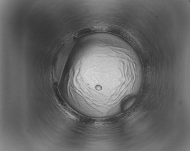 X0000073490641200608281616