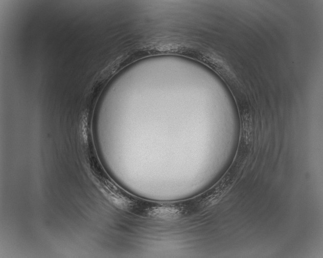 X0000073490644200608281616
