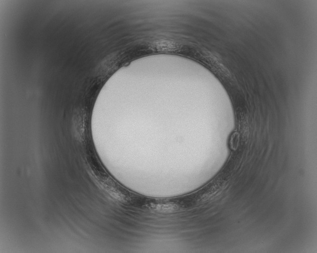 X0000073490645200608281616