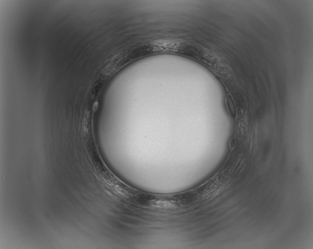 X0000073490649200608281616