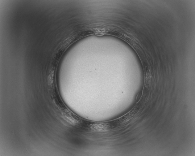 X0000073490652200608281616