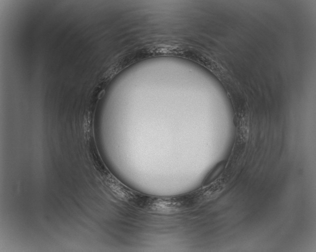 X0000073490657200608281617