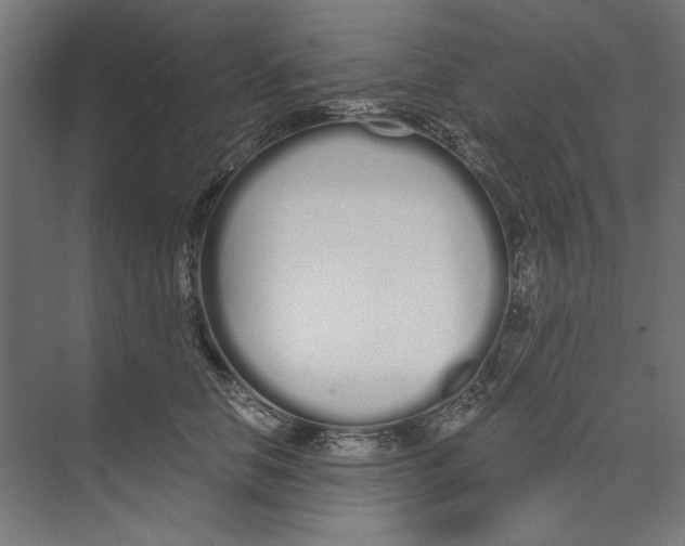 X0000073490658200608281617