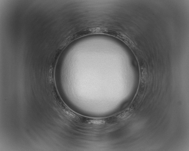 X0000073490659200608281617