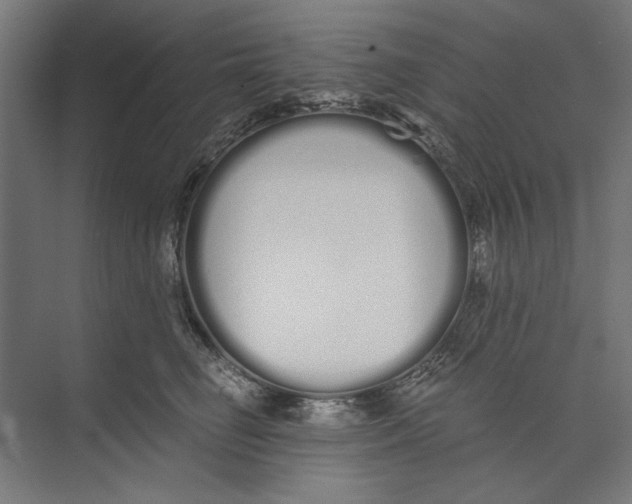 X0000073490662200608281617