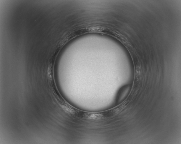 X0000073490663200608281617