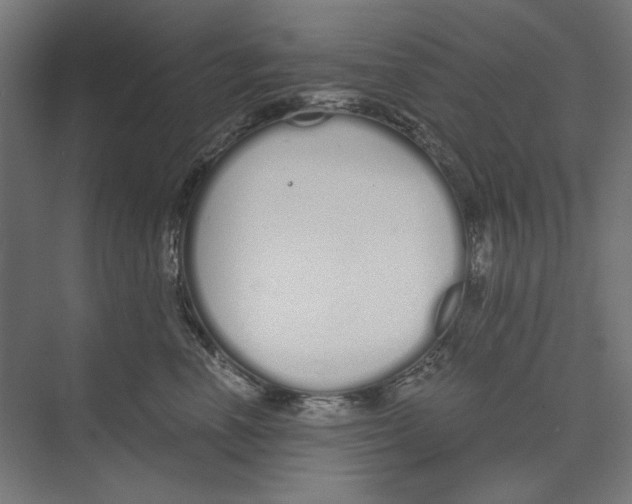 X0000073490666200608281617