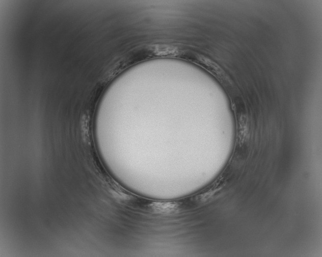 X0000073490667200608281617