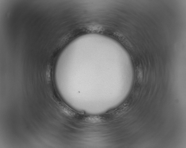 X0000073490668200608281617