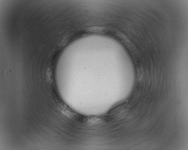 X0000073490669200608281617
