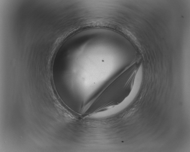 X0000073490673200608281616