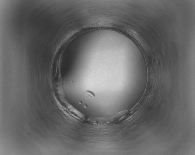 X0000073490677200608281616
