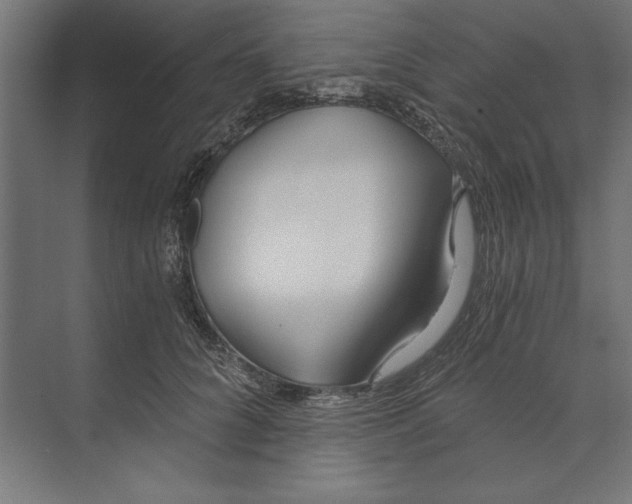 X0000073490704200608281615