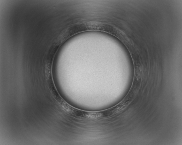 X0000073490707200608281615