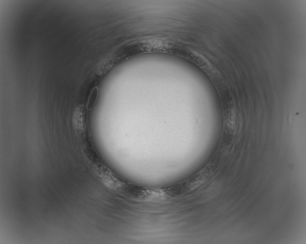 X0000073490715200608281615