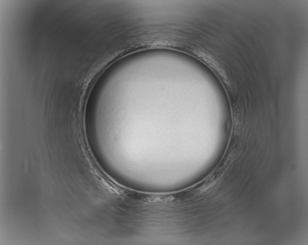 X0000073490721200608281614