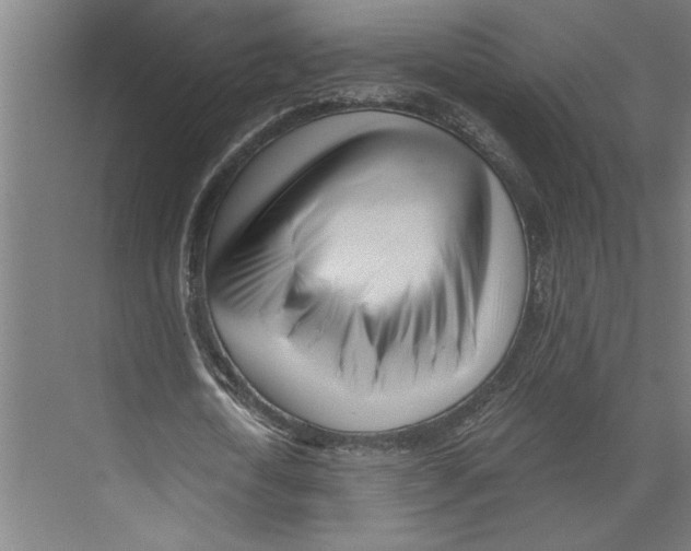 X0000073490722200608281614