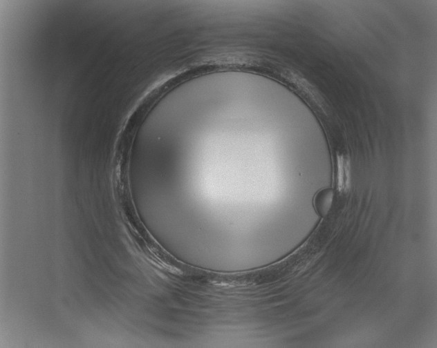X0000073490723200608281614