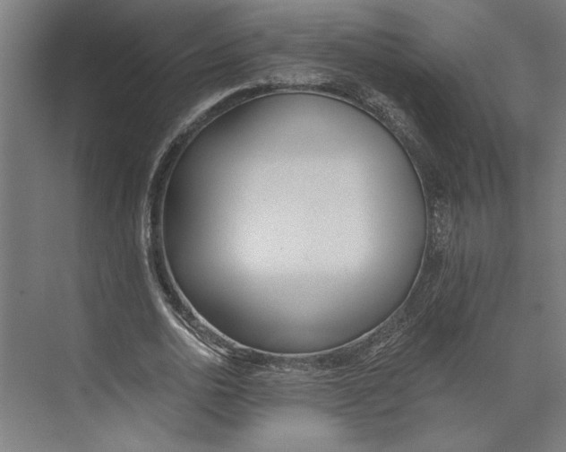 X0000073490726200608281614