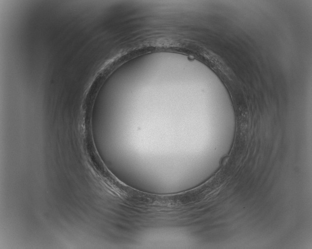 X0000073490727200608281615