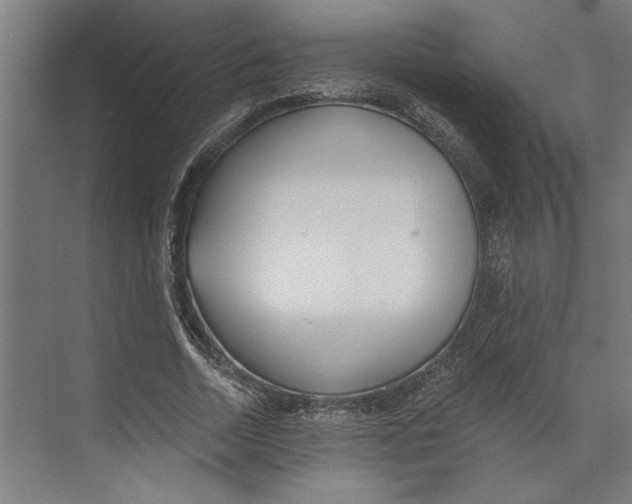 X0000073490730200608281615