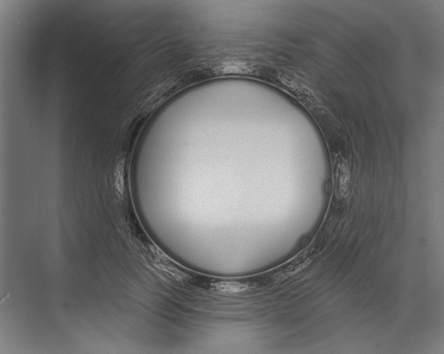 X0000073490746200608281615
