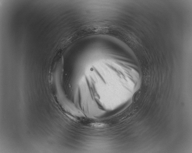X0000073490748200608281615