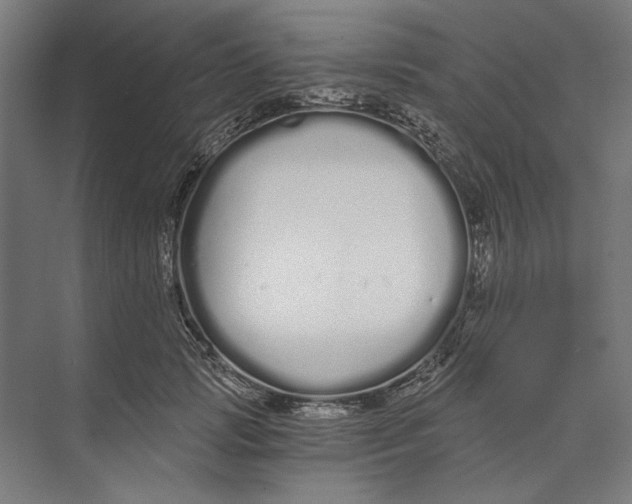 X0000073490749200608281615