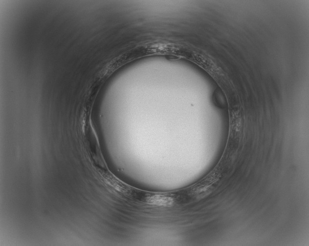 X0000073490754200608281615