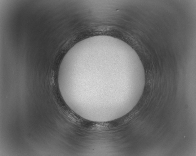 X0000073490758200608281615