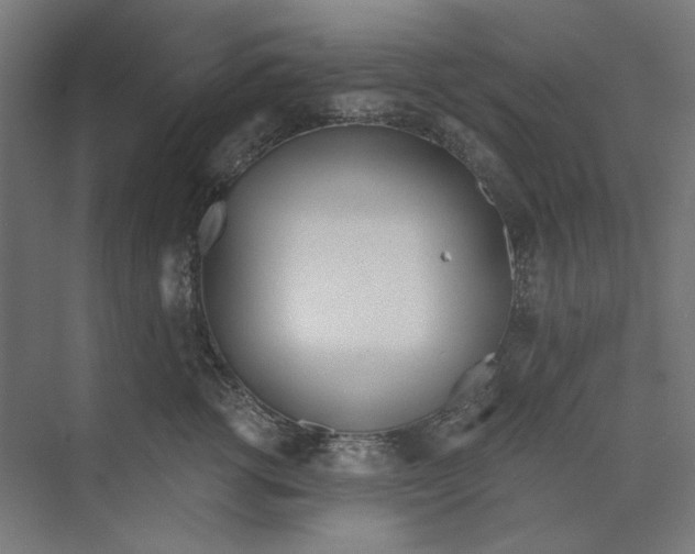 X0000073490762200608281615