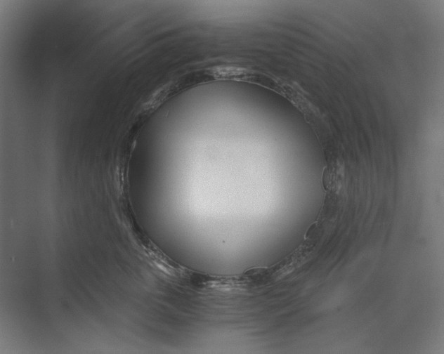 X0000073490763200608281615